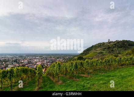 ' Dom ' and castle Starkenburg (View from Maiberg ) with vineyards, Germany, Hessen, Hesse, , Heppenheim (Bergstraße) Stock Photo