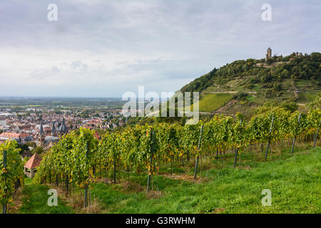 ' Dom ' and castle Starkenburg (View from Maiberg ) with vineyards, Germany, Hessen, Hesse, , Heppenheim (Bergstraße) Stock Photo