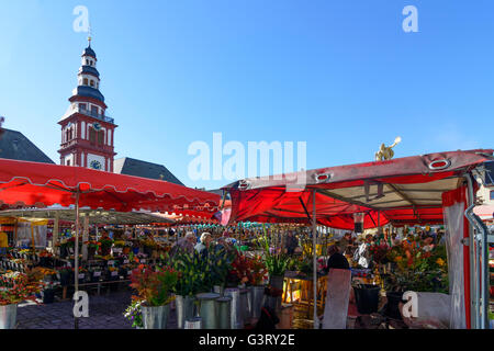 Market Square with Old Town Hall and Church of St. Sebastian with weekly market, Germany, Baden-Württemberg, Kurpfalz, Mannheim Stock Photo