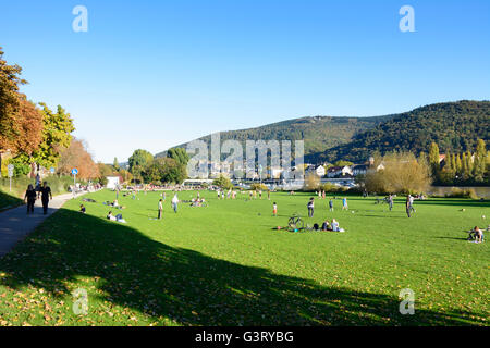 River Neckar , sunbathers on the Neckar meadows and overlooking the old town with its castle and mountain Königstuhl, Germany, B Stock Photo