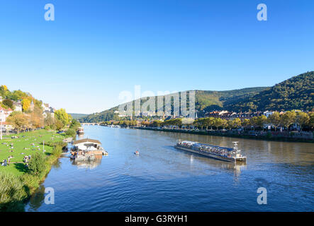 River Neckar , sunbathers on the Neckar meadows and overlooking the old town with its castle and mountain Königstuhl with Solars Stock Photo