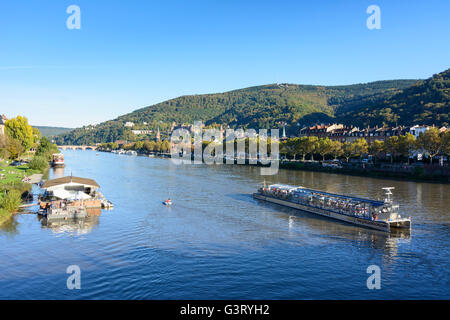 River Neckar , sunbathers on the Neckar meadows and overlooking the old town with its castle and mountain Königstuhl with Solars Stock Photo