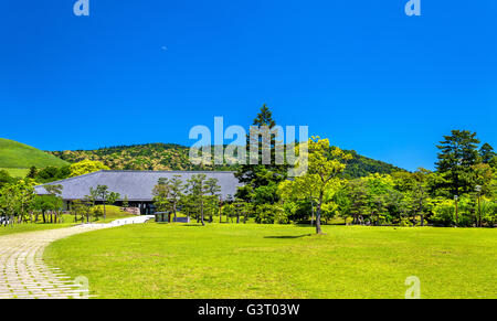 Grounds of Nara Park in Kansai Region - Japan Stock Photo