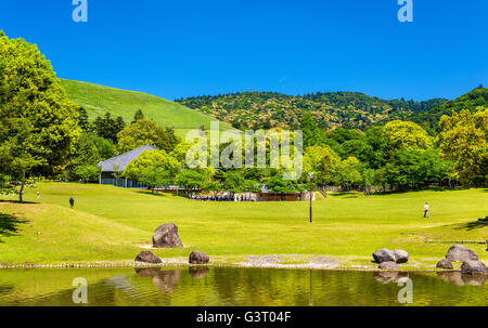 Grounds of Nara Park in Kansai Region - Japan Stock Photo