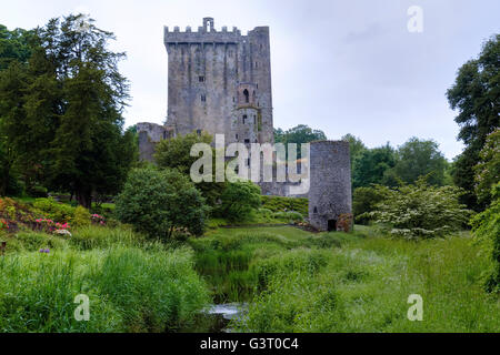 Blarney Castle, Cork, Ireland Stock Photo