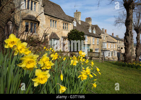Cotswold stone cottages and Daffodils along The Hill, Burford, Cotswolds, Oxfordshire, England, United Kingdom, Europe