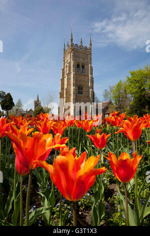 Bell Tower and Tulips in Abbey Park, Evesham, Worcestershire, England, United Kingdom, Europe Stock Photo