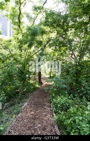 Hallett Nature Sanctuary in Central Park, NYC Stock Photo