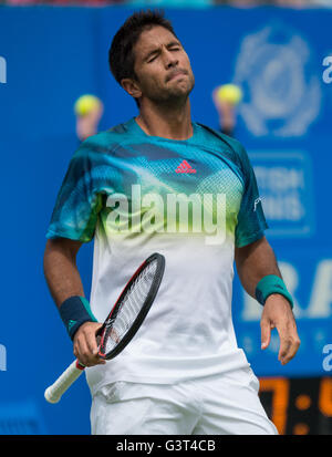 London, UK. 14th June, 2016. Fernando Verdasco of Spain reacts during his singles first round match against Stan Wawrinka of Switzerland during day two of the ATP-500 Aegon Championships at the Queen's Club in London, Britain on June 14, 2016. Credit:  Jon Buckle/Xinhua/Alamy Live News Stock Photo