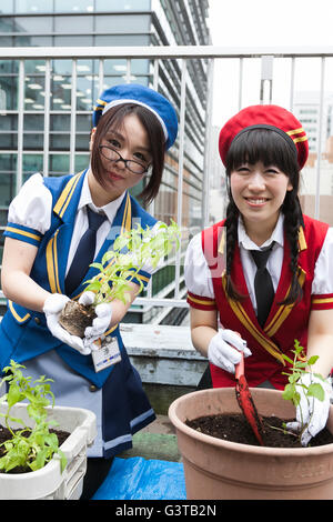 Tokyo, Japan. 15th June, 2016. Akihabara maids plant vegetables on a rooftop garden at the Japan Agricultural Newspaper building in Akihabara on June 15, 2016, Tokyo, Japan. The annual event organised by NPO group Licolita sees maids and volunteers from local cafes and stores joining the Akihabara Vegetable Garden Project. This year 7 Akihabara maids planted habanero, peppermint, bhut jolokia and coriander. © Rodrigo Reyes Marin/AFLO/Alamy Live News Credit:  Aflo Co. Ltd./Alamy Live News Stock Photo