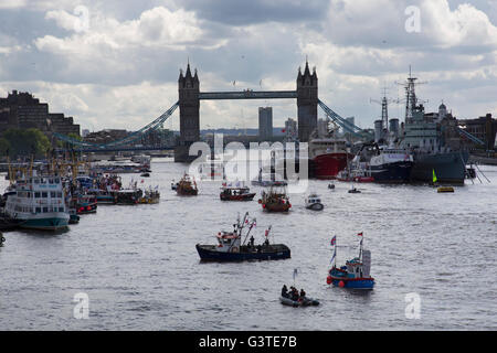 London, UK. 15th June, 2016. Flotilla of fishing vessels heading up the Thames to make the case for Brexit in the EU Referendum on June 15th in London, United Kingdom. The flotilla was organised by Scottish skippers as part of the Fishing for Leave campaign which is against European regulation of the fishing industry, and the CFP Common Fisheries Policy. Between 30 and 35 trawlers travelled up the Thames, through Tower Bridge and moored in the Pool of London. Stock Photo