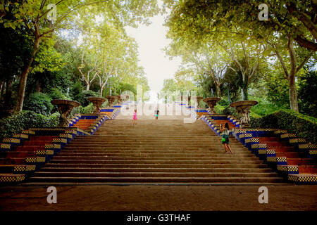 Spain, Barcelona, Placa de les Cascades, Passeig de Jean Forestier, View of steps in park Stock Photo