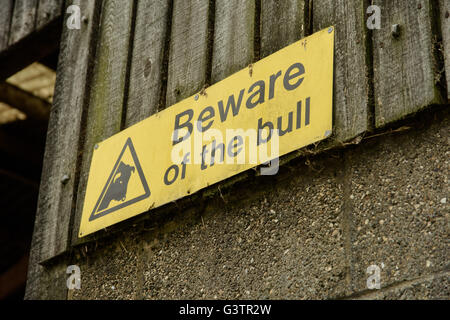 Beware of the Bull Sign on Farm Building Stock Photo