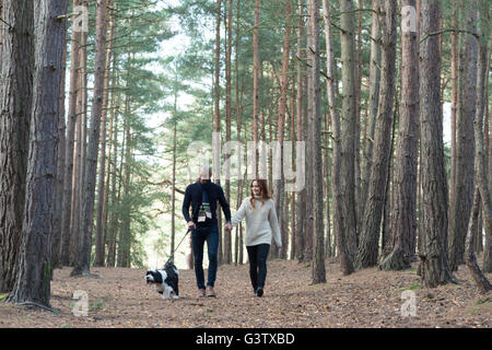 A young couple out with their dog on a forest walk in Autumn. Stock Photo