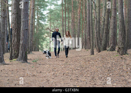 A young couple out with their dog on a forest walk in Autumn. Stock Photo