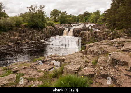 A scenic view of the Low Force waterfalls in Teesdale in north east Durham,England Stock Photo