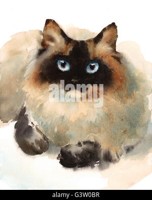 Watercolor Siamese Cat Laying Down Hand Drawn Animal Pet Portrait Illustration Stock Photo