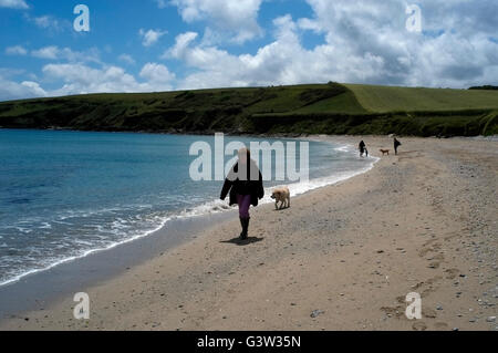 Dog walkers stroll along Towan Beach, in Cornwall, Britain June 13, 2016. Copyright photograph John Voos Stock Photo