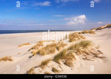 Wide beaches and sand dunes on the Dutch island of Terschelling on a sunny day. Stock Photo