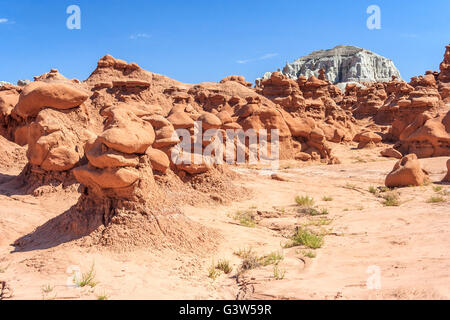 Hoodoo Rock pinnacles in Goblin Valley State Park, Utah, USA Stock Photo