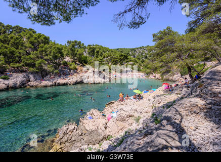 The fantastic beach of Calanque Port-Pin with people enjoying during summer, Cassis, South of France