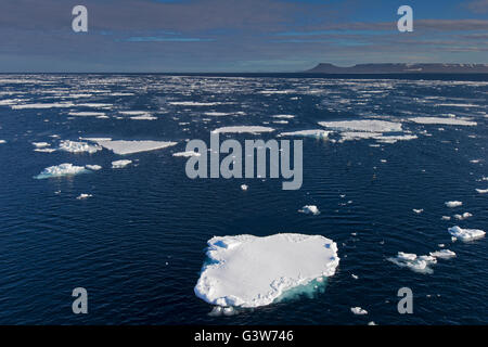 Ice floes in the Erik Eriksenstretet, strait in the Svalbard archipelago, separating Kong Karls Land from Nordaustlandet, Norway Stock Photo