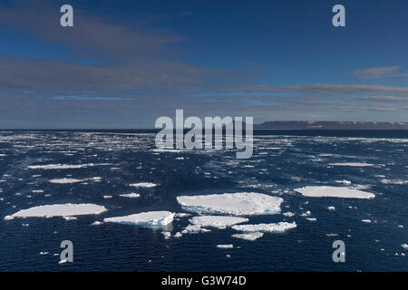 Ice floes in the Erik Eriksenstretet, strait in the Svalbard archipelago, separating Kong Karls Land from Nordaustlandet, Norway Stock Photo