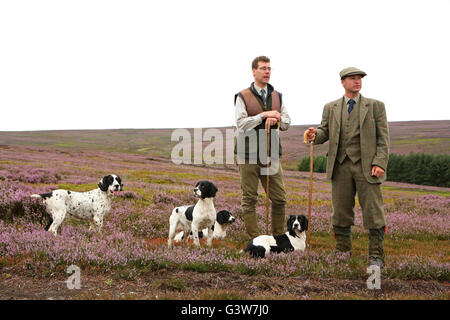 Grouse. Gamekeeper Jimmy Shuttlewood and shoot organiser James Chapel on the North York Moors with English Springer Spaniels Stock Photo