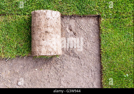 making new lawn using roll grass Stock Photo