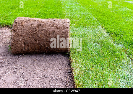 making new lawn using roll grass Stock Photo