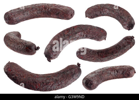 Blood sausage closeup isolated on white background Stock Photo