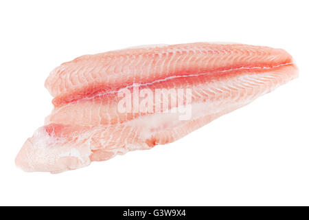Closeup catfish slice isolated on white background Stock Photo