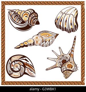 Set decorative ornamental ethnic of seashells on a white background Stock Vector