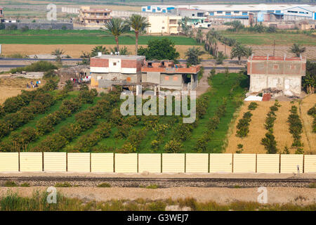 Cultivated fields alongside the Suez Canal Egypt Stock Photo