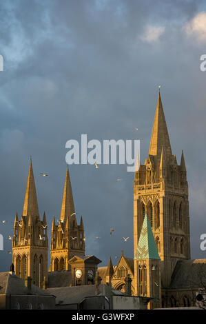 The sandblasted spires of Truro Cathedral bathed in sunlight with seagulls hoverring Stock Photo