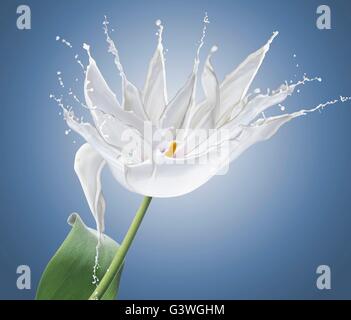 flower made of white splashes isolated on blue. Stock Photo