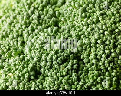 Broccoli Background very high resolution healty eating Stock Photo