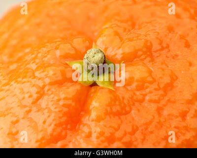 Mandarin Orange background very high resolution helathy Stock Photo