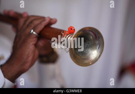 An ethnic Indian wind instrument called the been which plays a monotonous note. Stock Photo