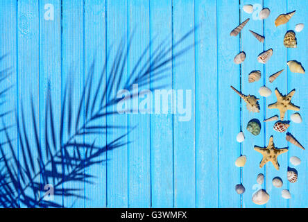 The shadow of the palm branch on a blue wooden surface. Seashells and starfish Stock Photo