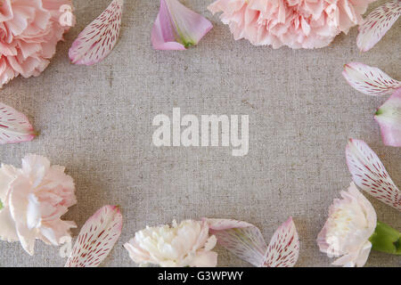 Pink Carnation flowers copy space linen background Stock Photo