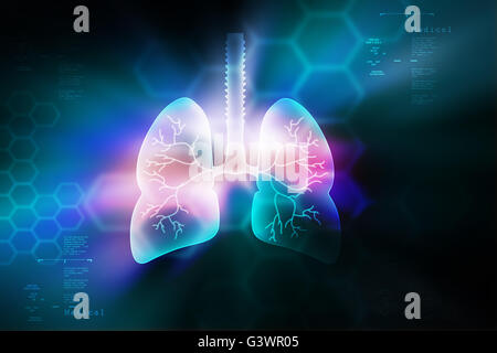 Human lungs in color bacbground Stock Photo