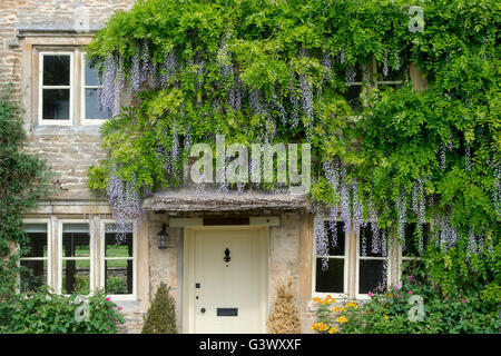 Wisteria on a cottage in the village of Eastleach Turville, Cotswolds, Gloucestershire, England Stock Photo