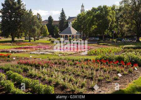 Guests view the Flower Trial Garden at Colorado State University July 25, 2015 in Fort Collins, Colorado. The garden is to evaluate the performance of different annual plant cultivars under the unique Rocky Mountain environmental conditions. Stock Photo