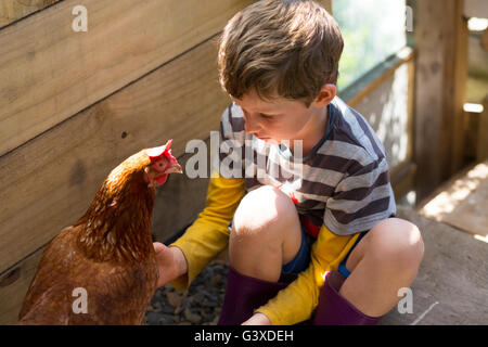 Boy (7 years) dressed in stripey shirt and gumboots gently pats chicken in henhouse. Stock Photo