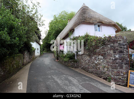 A thatched house converted into a tea room in the picturesque village of Cockington, Devon, England, UK Stock Photo