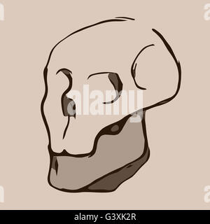 Hand Drawn cartoon Skull. Illustration Stock Photo