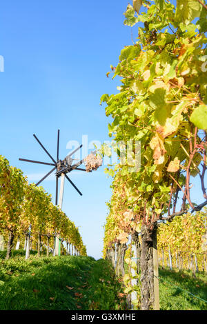 vineyard, wind wheel bird scarer Klapotetz, Austria, Steiermark, Styria, Südwest-Steiermark, Ehrenhausen an der Weinstraße Stock Photo
