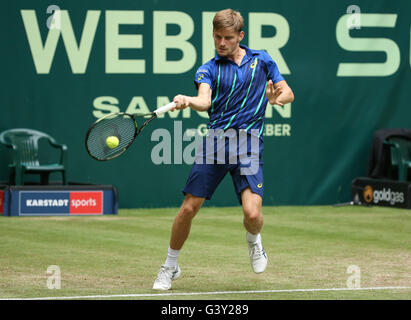 Halle, Germany. 16th June, 2016. David Goffin of Belgium in action against S. Stakhovsky of Ukraine during the ATP tennis tournament in Halle, Germany, 16 June 2016. Photo: FRISO GENTSCH/dpa/Alamy Live News Stock Photo