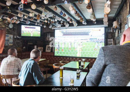 Llansaint, Carmarthenshire, Wales, UK. 16th June, 2016.  Welsh and England fans watch football match England v Wales in King's Arms pub in village of Llansaint,Carmarthenshire,Wales.England win 2-1. Credit:  Paul Quayle/Alamy Live News Stock Photo
